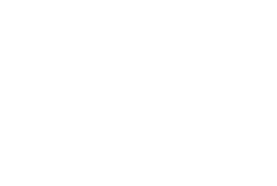 SpruceTip Logo